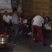 foto de los novillos